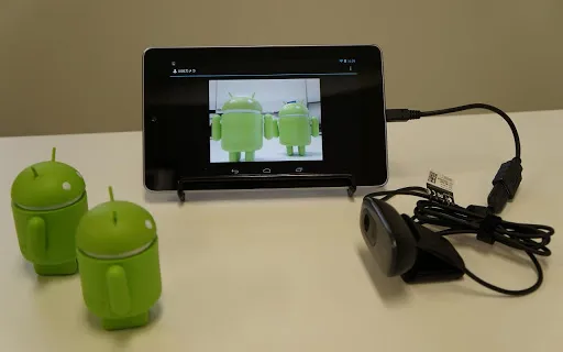 Tangkapan layar USB Camera Standard