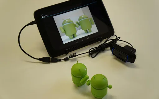 Tangkapan layar USB Camera Standard