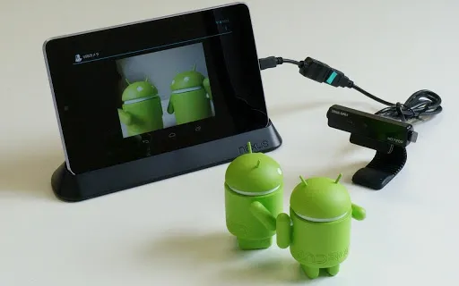 Tangkapan layar USB Camera Standard