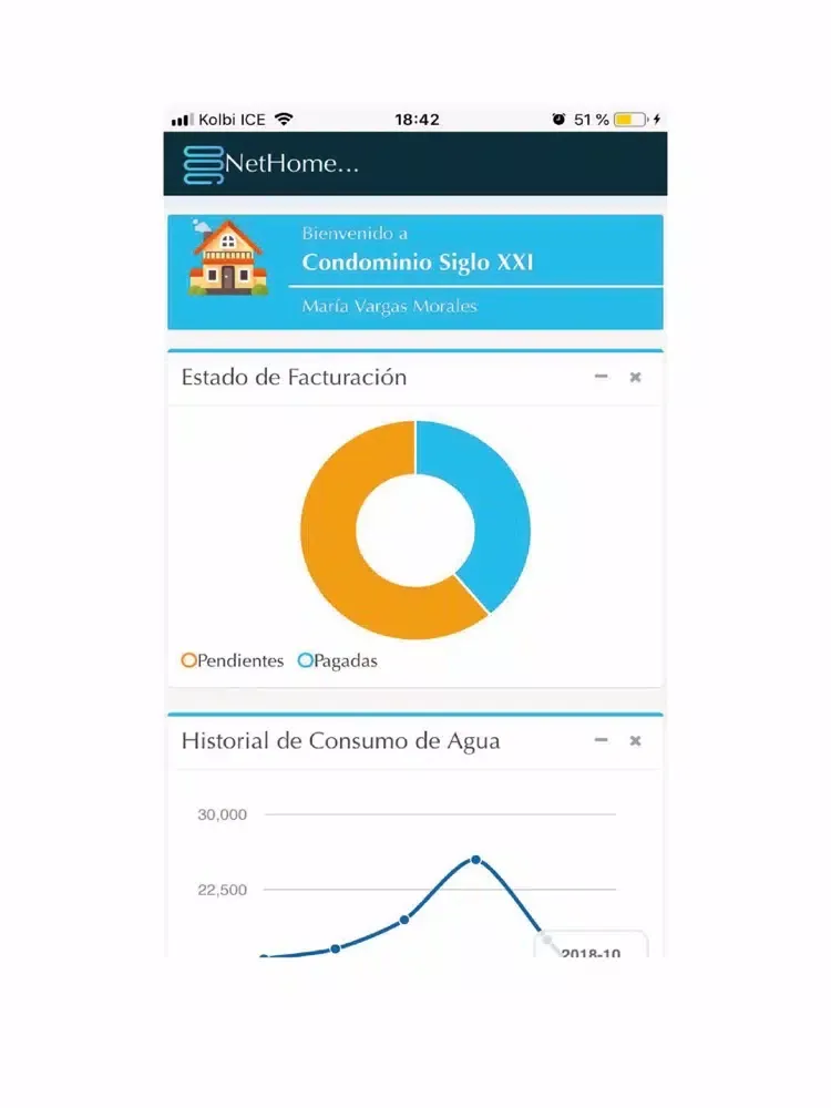 ภาพหน้าจอของ NetHome iPad 