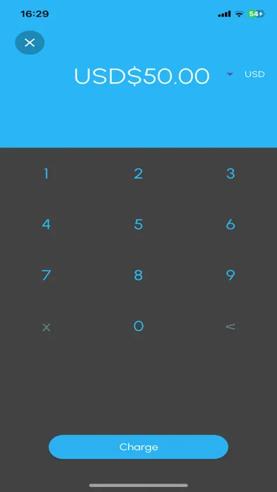 Invoice payment for Stripe Screenshots