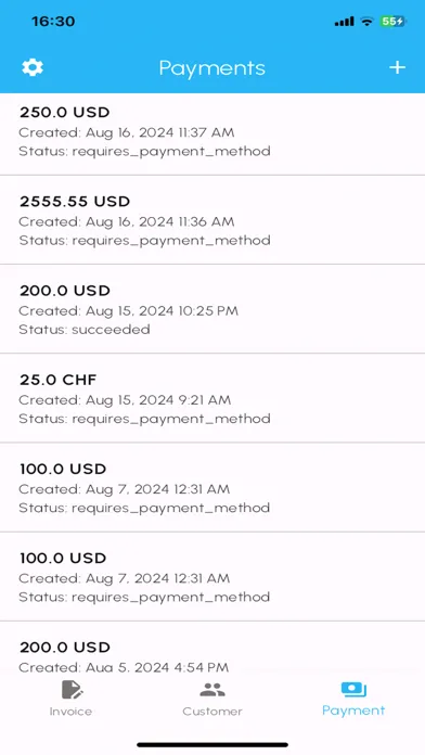 Invoice payment for Stripe Screenshots