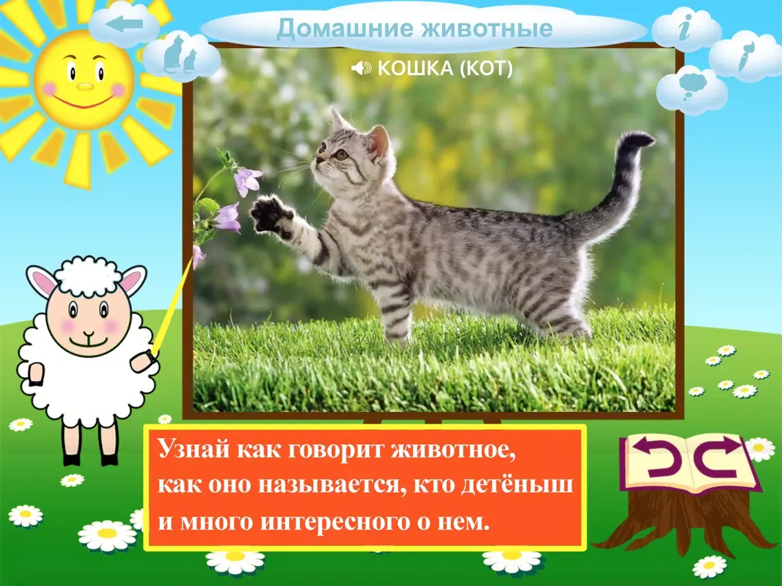 Детям о животных- AboutAnimals iPad 应用截图