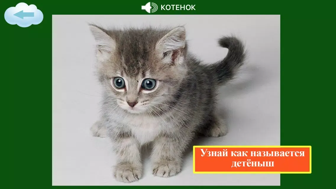 Детям о животных- AboutAnimals应用截图
