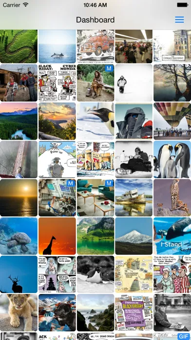 Screenshot di Owler - Tumblr Client