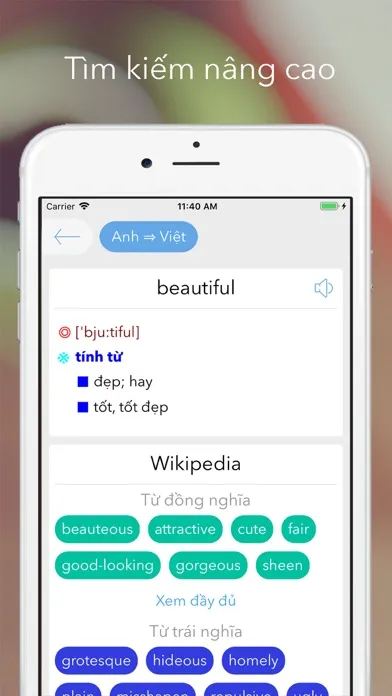 bigdict - từ điển mở & hỏi đáp Screenshots