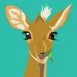 DikDik
