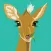 DikDik