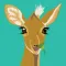 DikDik