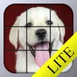 Puppy Tiles Lite - Dog Puzzle Puppy Tiles Lite - Dog Puzzle
