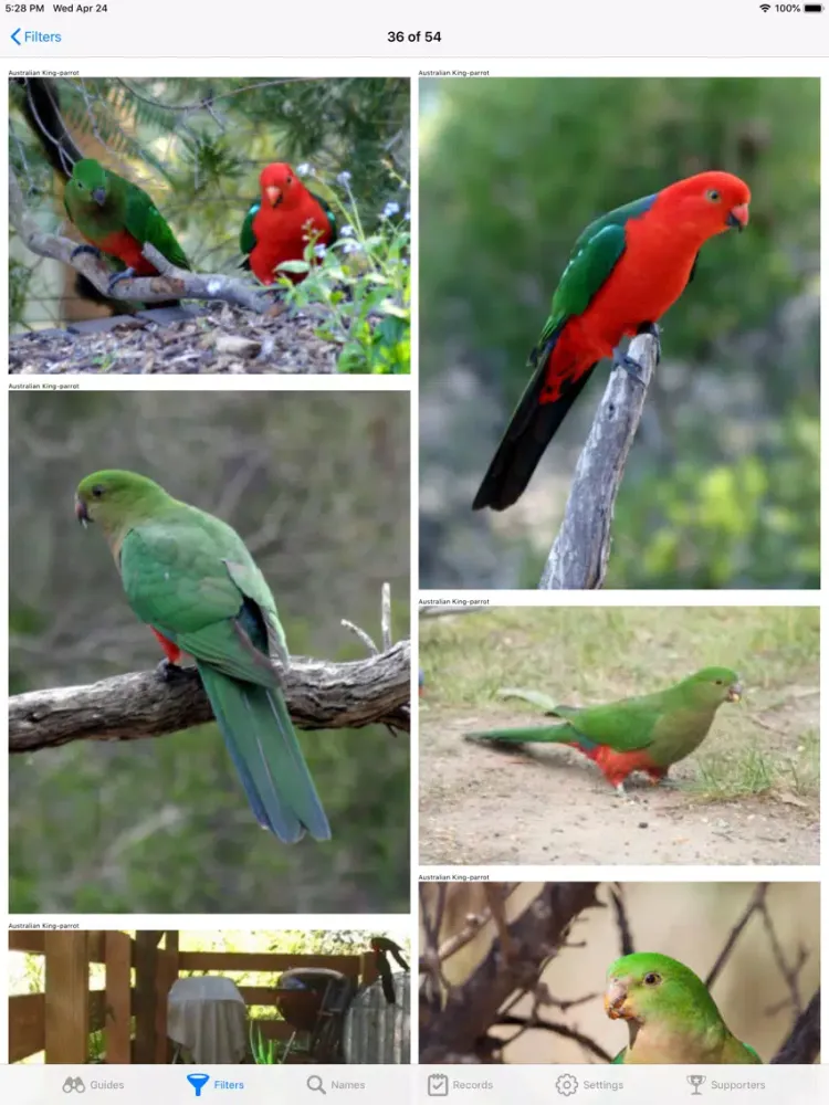 Ảnh chụp màn hình của Aust. Birds iPad 
