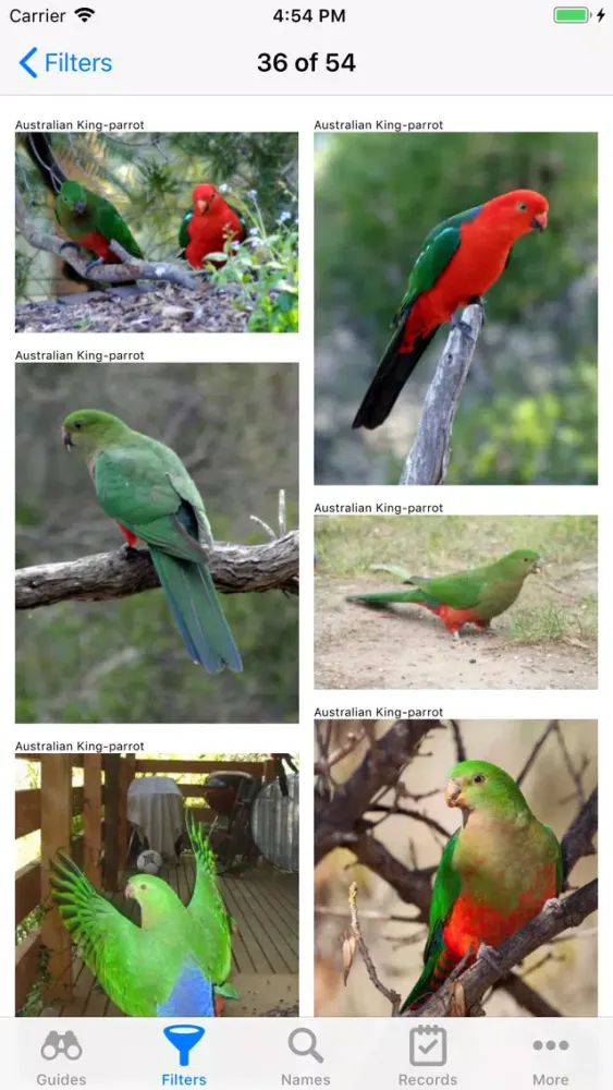 Ảnh chụp màn hình của Aust. Birds