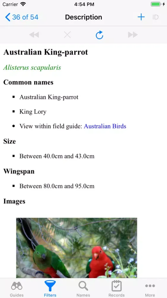 Ảnh chụp màn hình của Aust. Birds