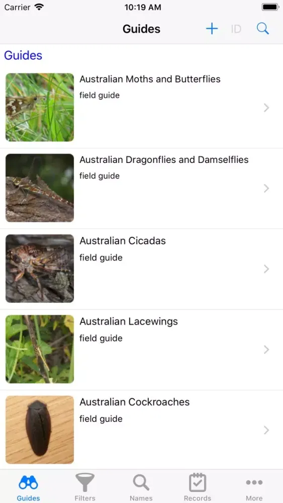 Tangkapan layar Little Creatures