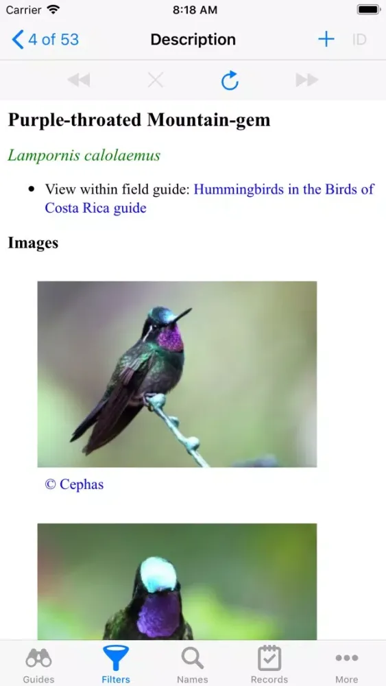 Gaia Guide Screenshots