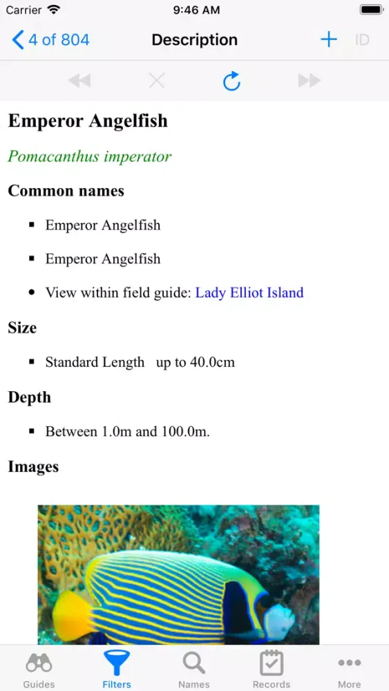 Lady Elliot Island 스크린샷