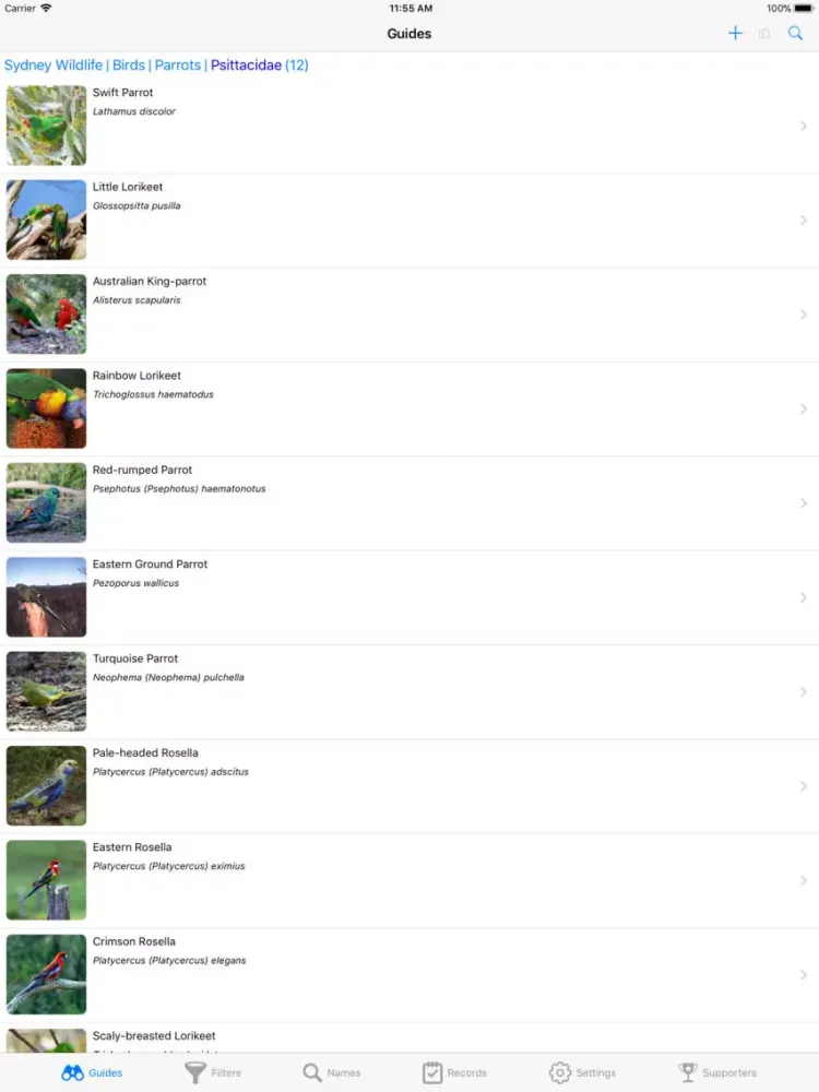 Sydney Wildlife iPad  স্ক্রিনশট