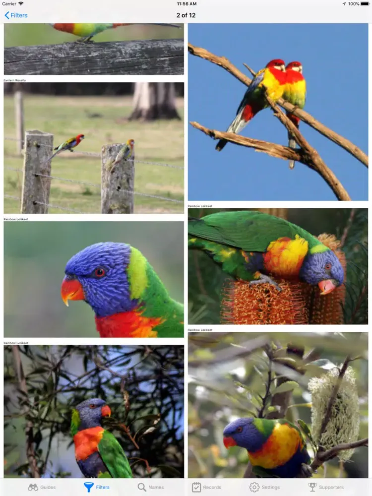 Sydney Wildlife iPad  স্ক্রিনশট