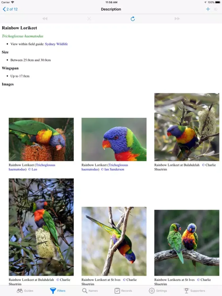 Sydney Wildlife iPad  স্ক্রিনশট