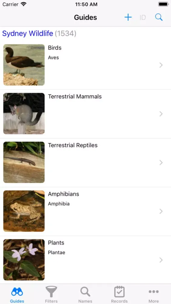 Sydney Wildlife স্ক্রিনশট