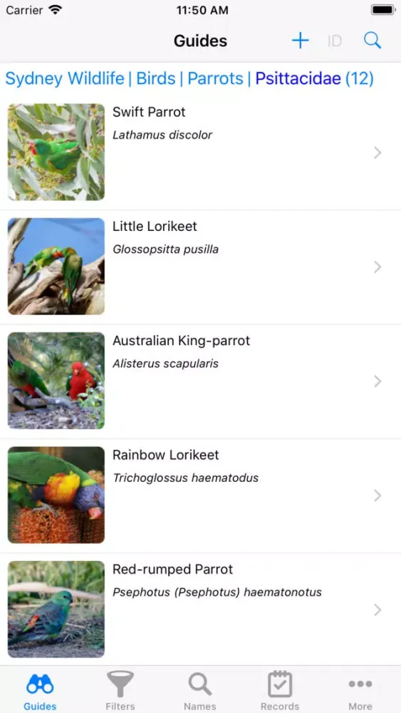 Sydney Wildlife স্ক্রিনশট