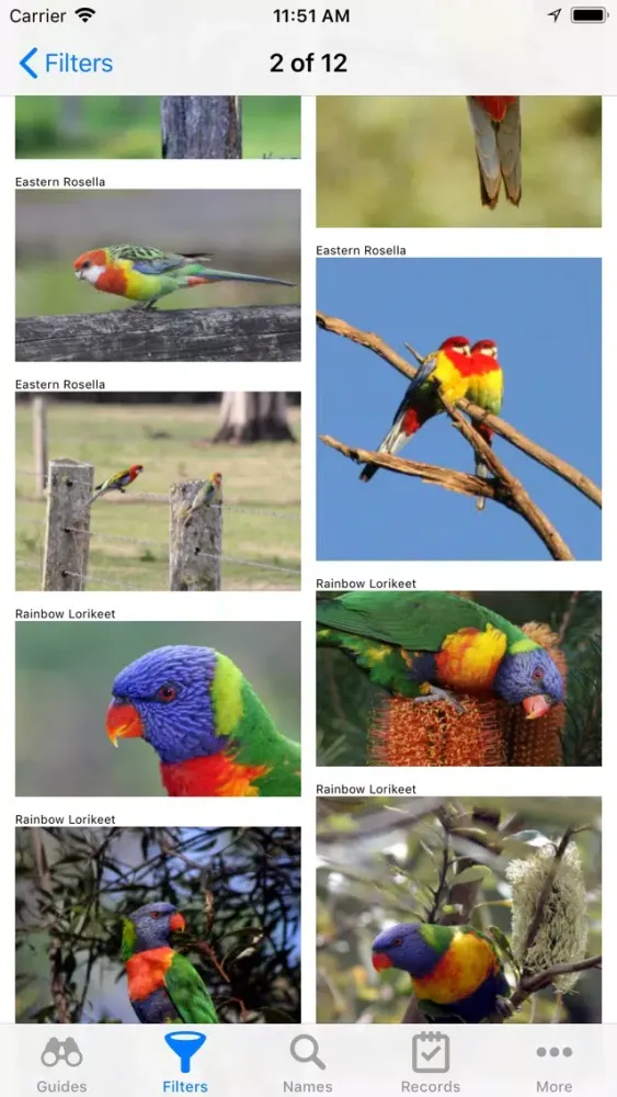 Sydney Wildlife স্ক্রিনশট