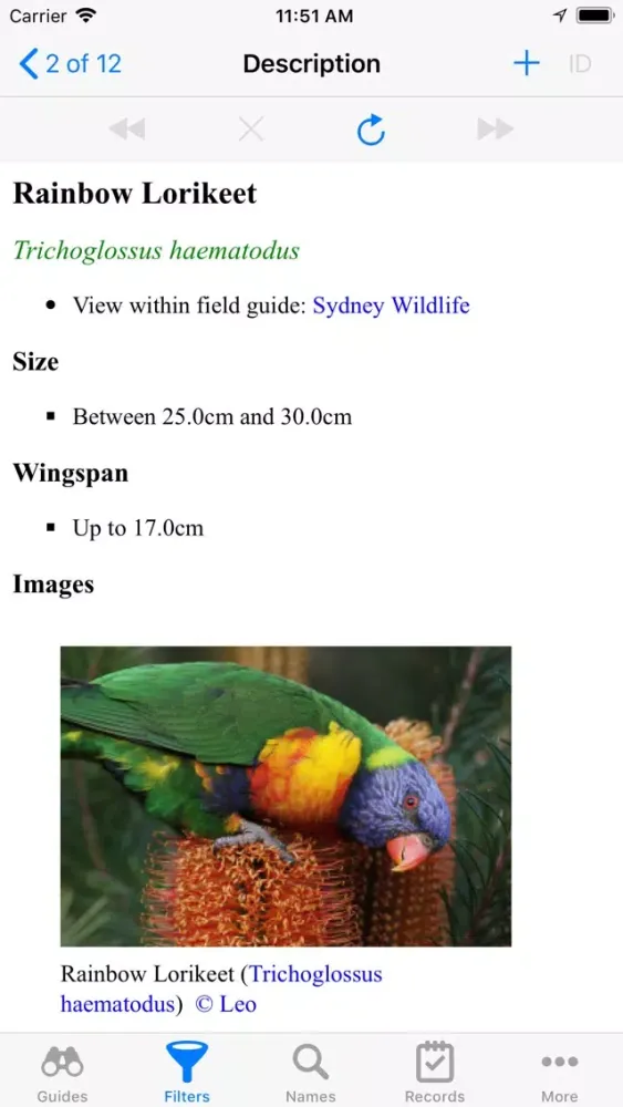 Sydney Wildlife স্ক্রিনশট
