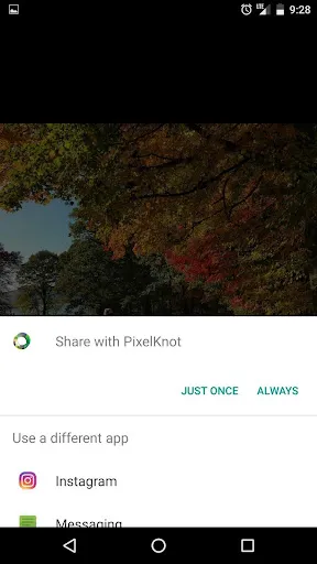 PixelKnot: Hidden Messages应用截图