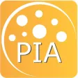mbits PIA