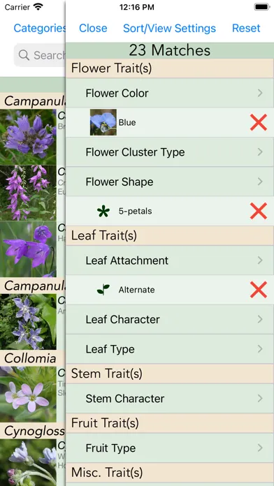 Minnesota Wildflowers Info. Screenshots