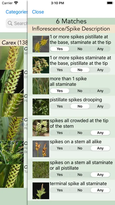 Minnesota Wildflowers Info. Screenshots