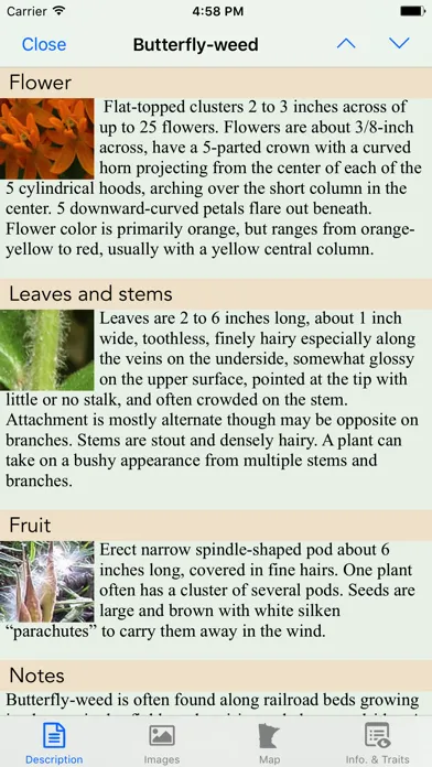 Minnesota Wildflowers Info. Screenshots
