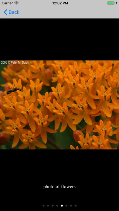 Minnesota Wildflowers Info. Screenshots