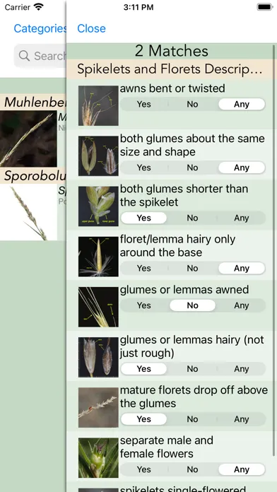 Minnesota Wildflowers Info. Screenshots