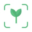 Free Plant Identifier
