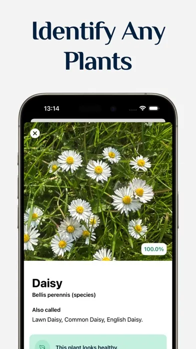 Zrzuty ekranu Free Plant Identifier