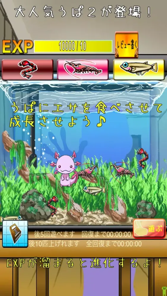 Screenshot di うぱの進化日記２