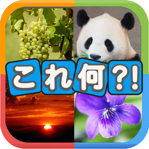 写真から連想！クイズこれ何？