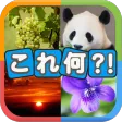 写真から連想！クイズこれ何？