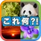 写真から連想！クイズこれ何？