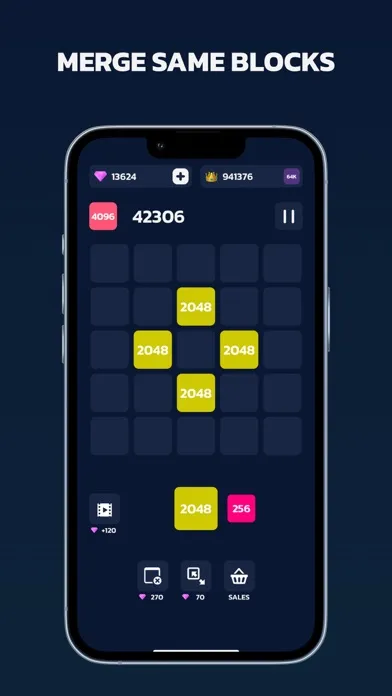 تصاویر 2048 Pro Challenge