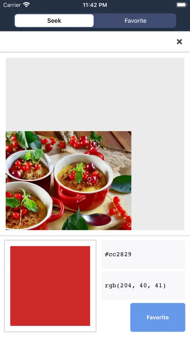 Color Code Seeker应用截图