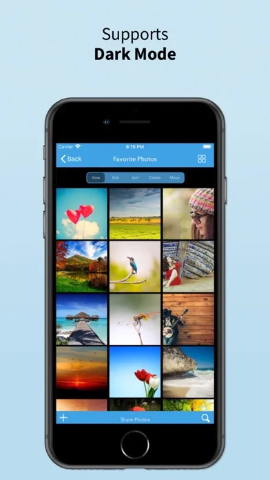Tangkapan layar Photo Album Cloud Vault