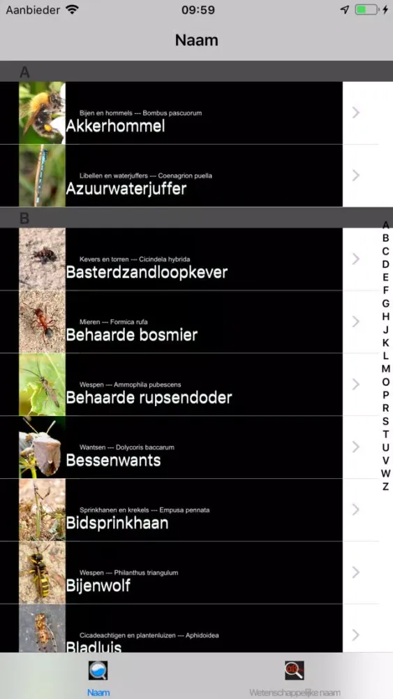 Скриншоты Insecten