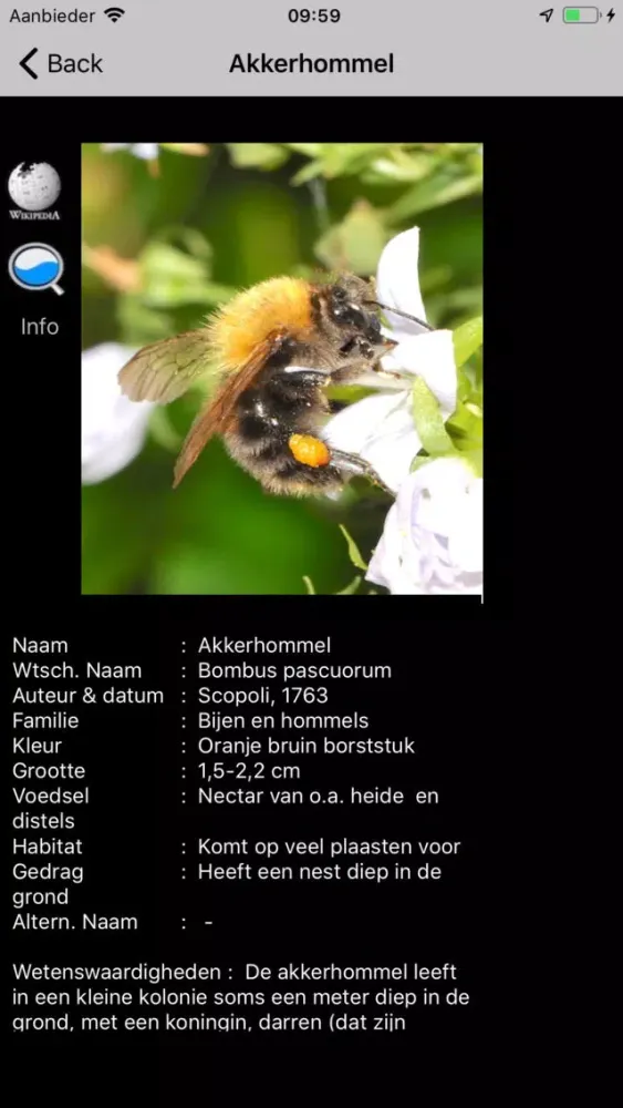 Скриншоты Insecten