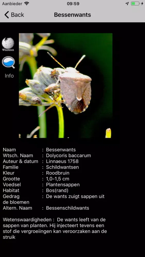 Скриншоты Insecten