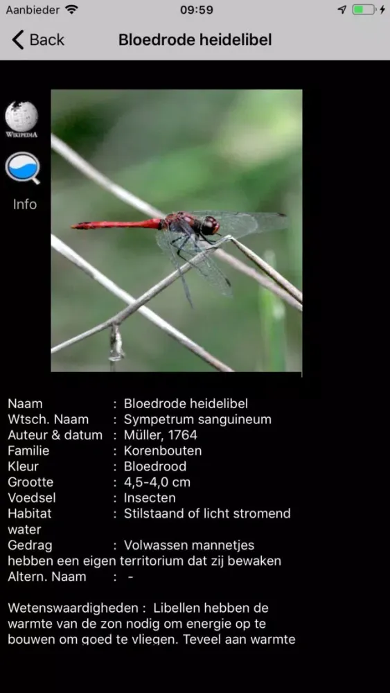 Скриншоты Insecten