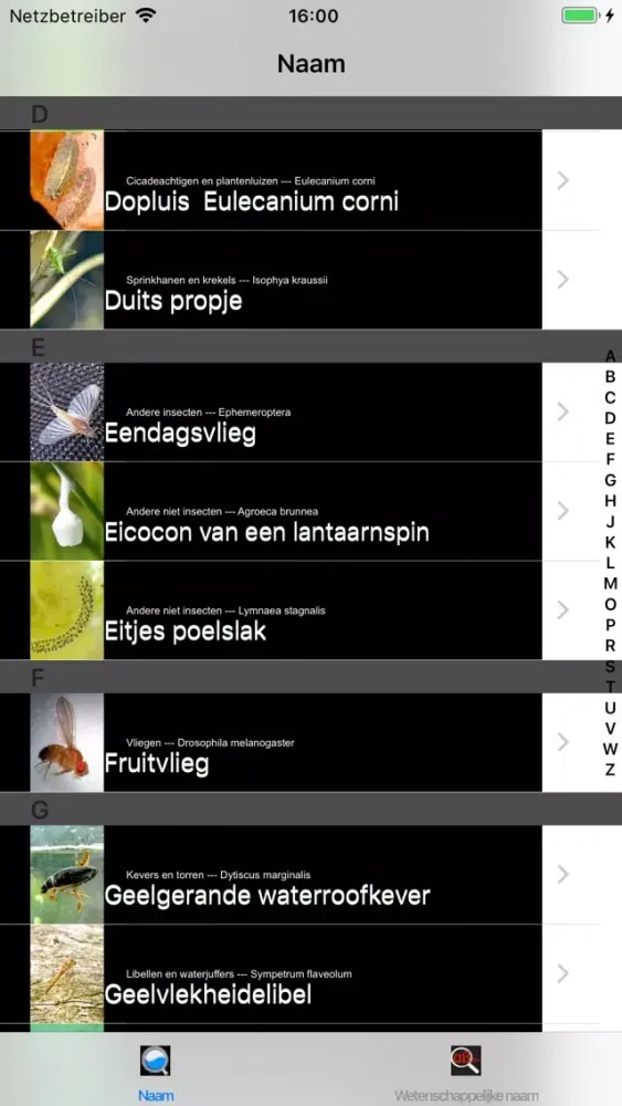 Скриншоты Insecten
