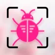 Insect identifier - Bug Finder Insect identifier - Bug Finder