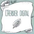 Digital Herbarium Digital Herbarium